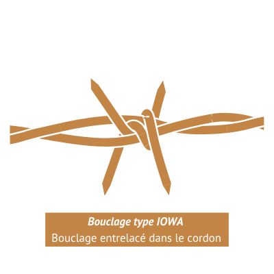 FIL BARBELE - RONCE ARTIFICIELLE - 4 PICS TYPE IOWA - GALVA  - RLX 100 ml