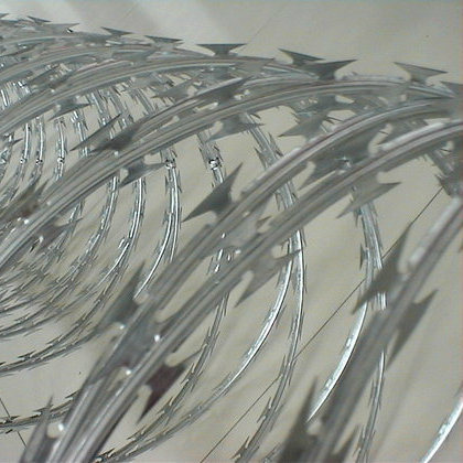 BARBELER CONCERTINA DIAM 500mm (Rlx de 10m bien étiré)