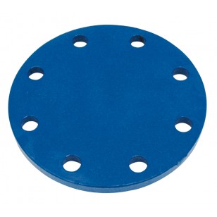 PLAQUE PLEINE FONTE PN10/16